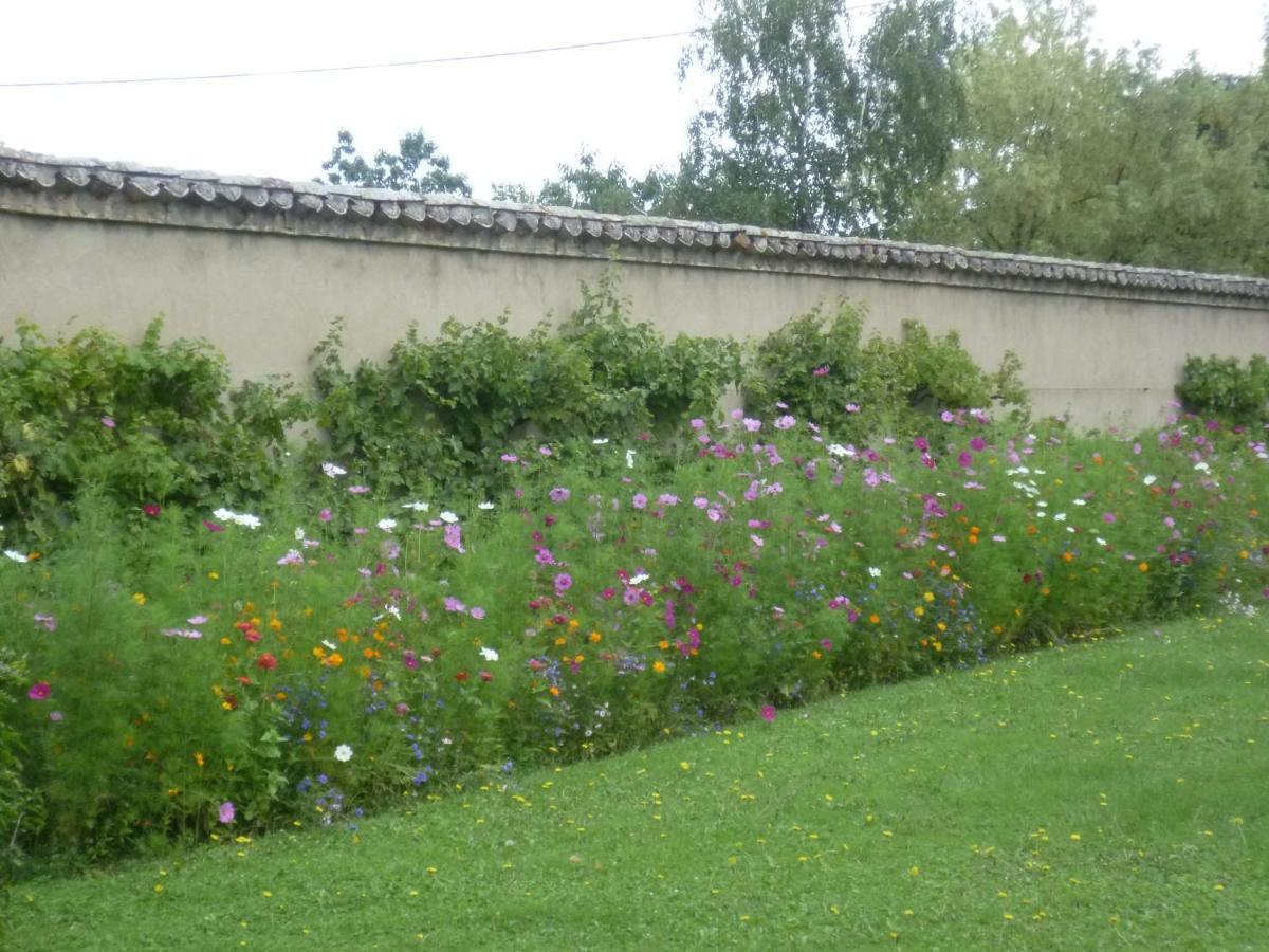 Chateau Des Charmes Guereins Exterior photo